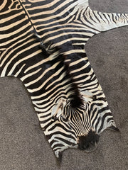 Authentic Zebra Skin Rug natural black and white hide