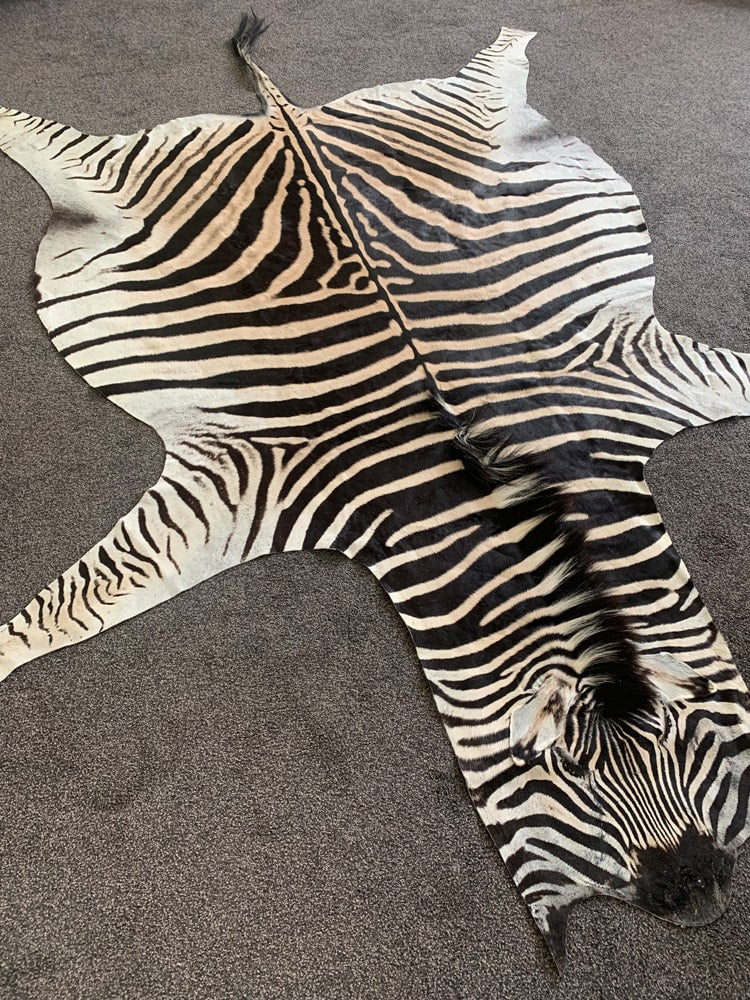 Genuine Zebra Skin Rug soft and durable for bedroom décor