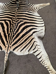 large zebra skin rug