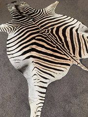 top grade real zebra skin