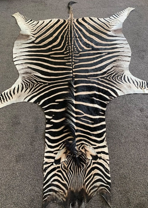zebra skin rug