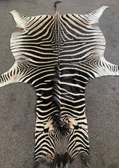 zebra skin rug