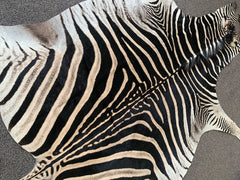 zebra skin rug