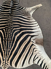 zebra skin rug