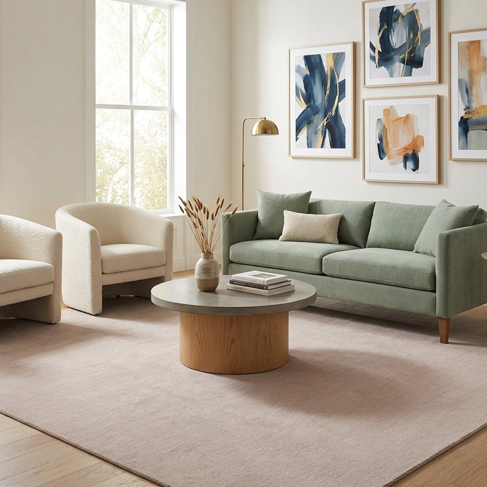 Taupe plain wool rug in living room