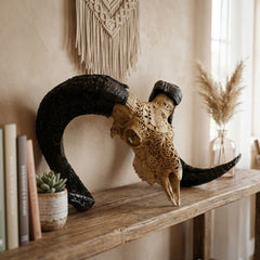 Authentic Ram Skull With Horn Hand Carved