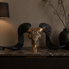 Authentic Ram Skull With Horn Hand Carved