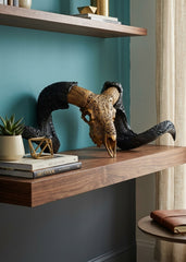 Authentic Ram Skull With Horn Hand Carved