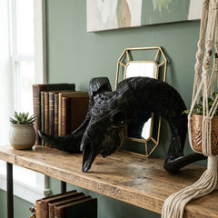 Authentic Ram Skull With Horn Hand Carved