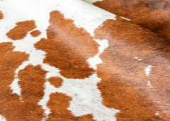 cowhide rug