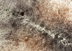 cowhide rug