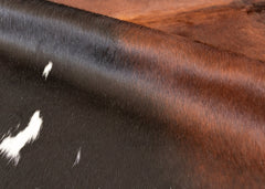 cowhide rug