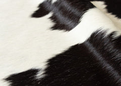 cowhide rug