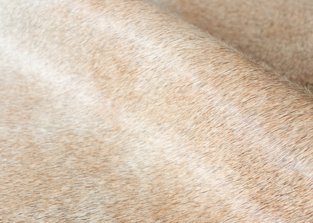 cowhide rug