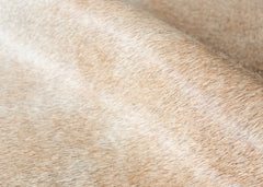cowhide rug