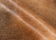 cowhide rug