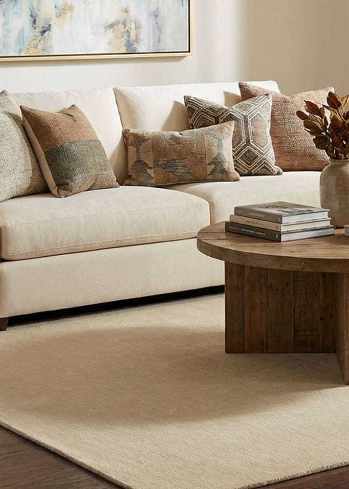 Hand tufted pastel cream wool rug in modern living room
