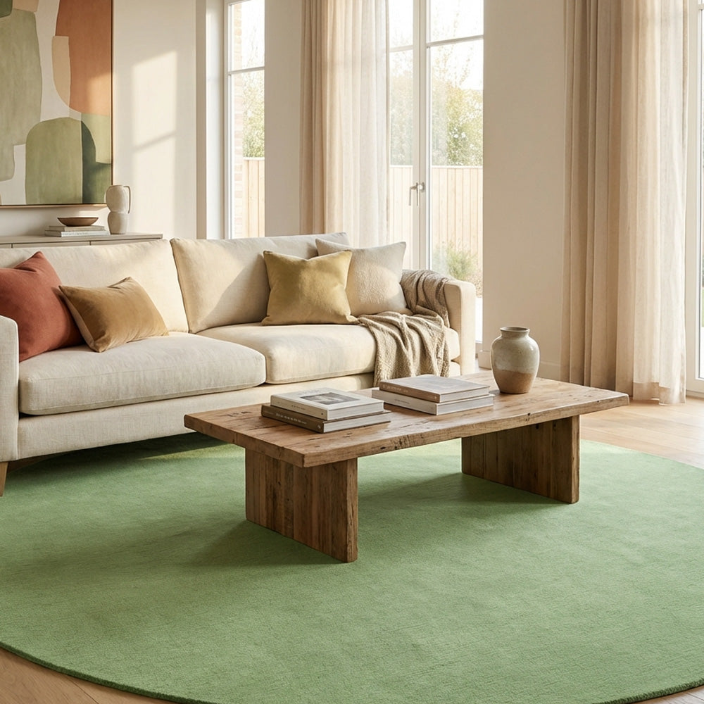 Pastel green round wool rug in living room