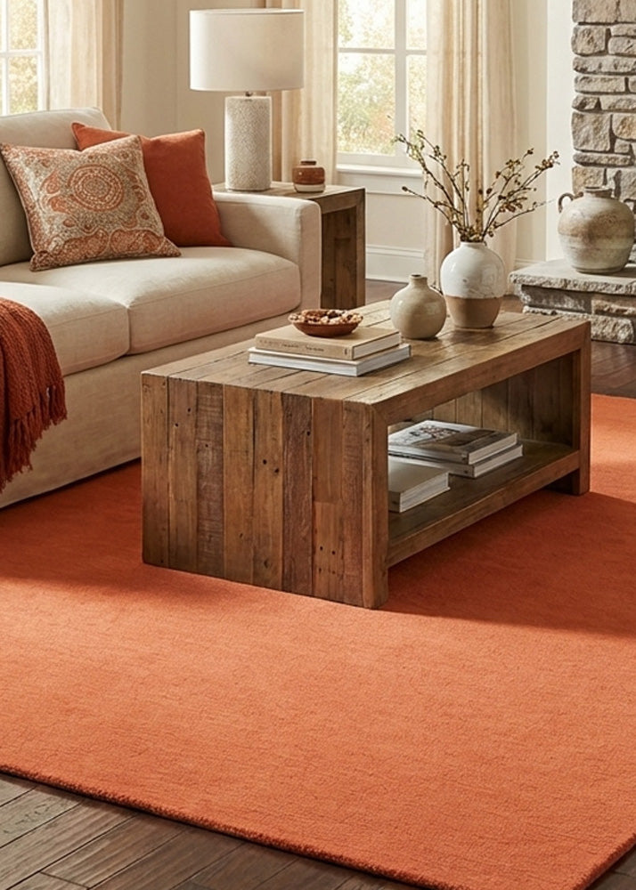 Orange wool rug in modern living room