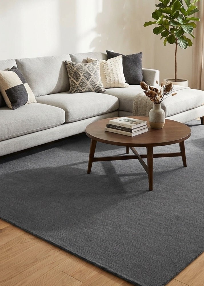 Grey wool rug in modern living room