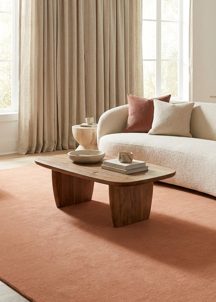 Light brown wool rug in living room