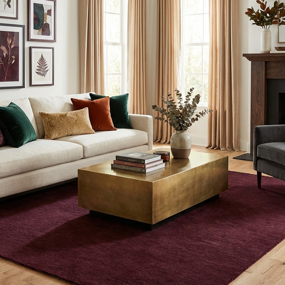 red wool rug in modern living room
