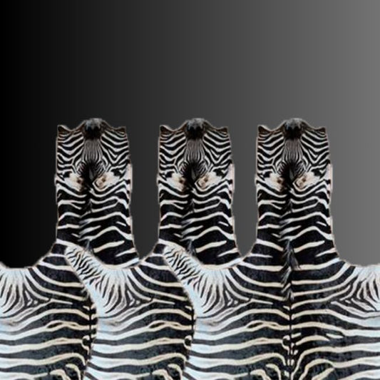 zebra skin hides