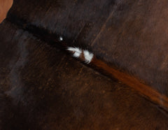 Tri-Color Cowhide Rug