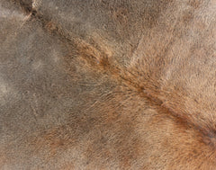Gris Tan Cowhide Rug