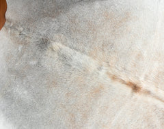 White And Beige Cowhide Rug