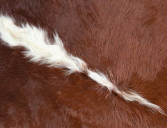 Hereford Brown And White Cowhide Rug