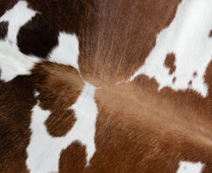 Tri-Color Cowhide Rug