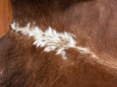 Tri-Color Cowhide Rug