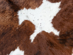 Brown And White Cowhide Rug