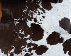 Brown And White Cowhide Rug