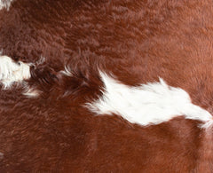 Hereford Brown And White Cowhide Rug