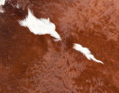 Hereford Brown And White Cowhide Rug