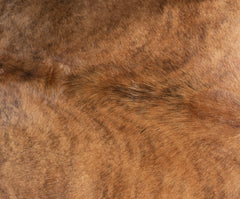 Exotic Brindle Cowhide Rug