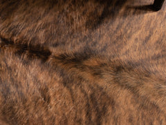 Exotic Brindle Cowhide Rug