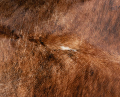 Exotic Brindle Cowhide Rug