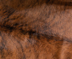 Exotic Brindle Cowhide Rug