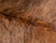 Exotic Brindle Cowhide Rug