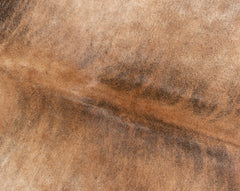 Exotic Brindle Cowhide Rug