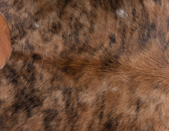 Exotic Brindle Cowhide Rug