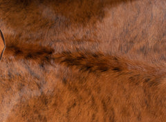 Exotic Brindle Cowhide Rug