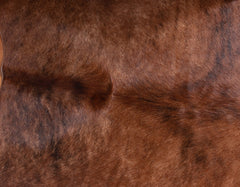Exotic Brindle Cowhide Rug