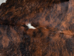Exotic Dark Brindle Cowhide Rug