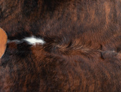 Exotic Dark Brindle Cowhide Rug