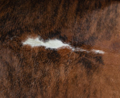 Exotic Brindle Cowhide Rug
