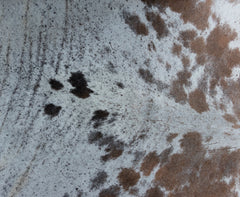 Salt Pepper Tr-Color Cowhide Rug